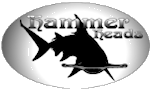HDHammerHeads - head porting by Bill "Hammer" Bishop